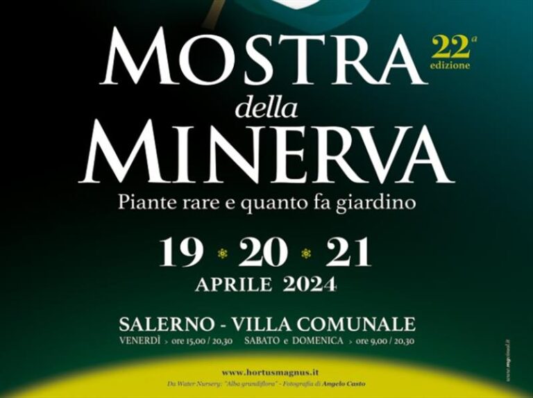 Mostra della Minerva 2024
