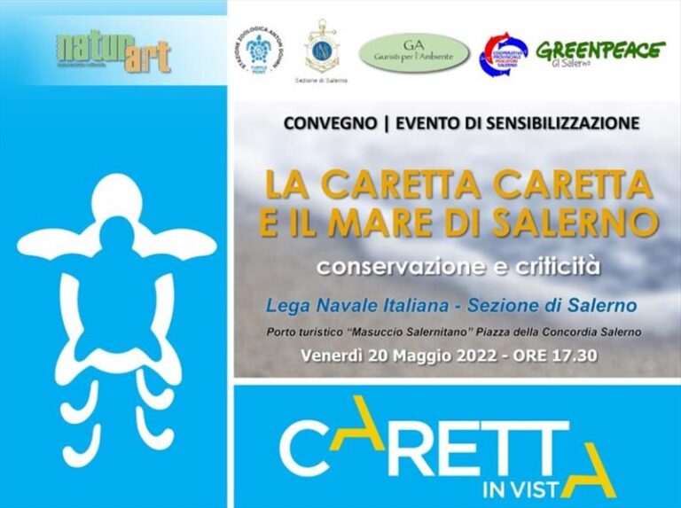 La caretta caretta e il mare di Salerno